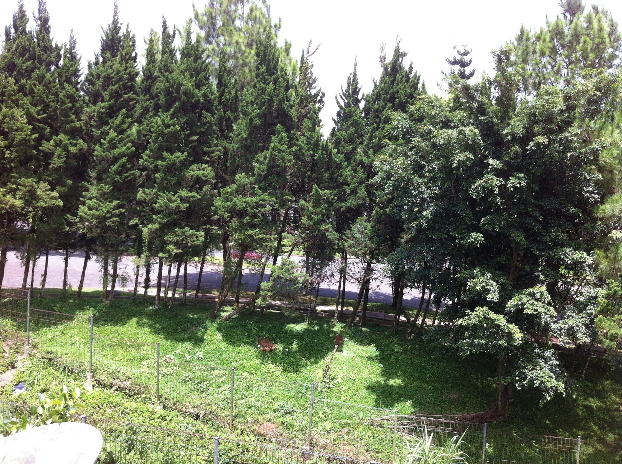 Villa Bukit Danau Lot 12 ชิปานาส ภายนอก รูปภาพ